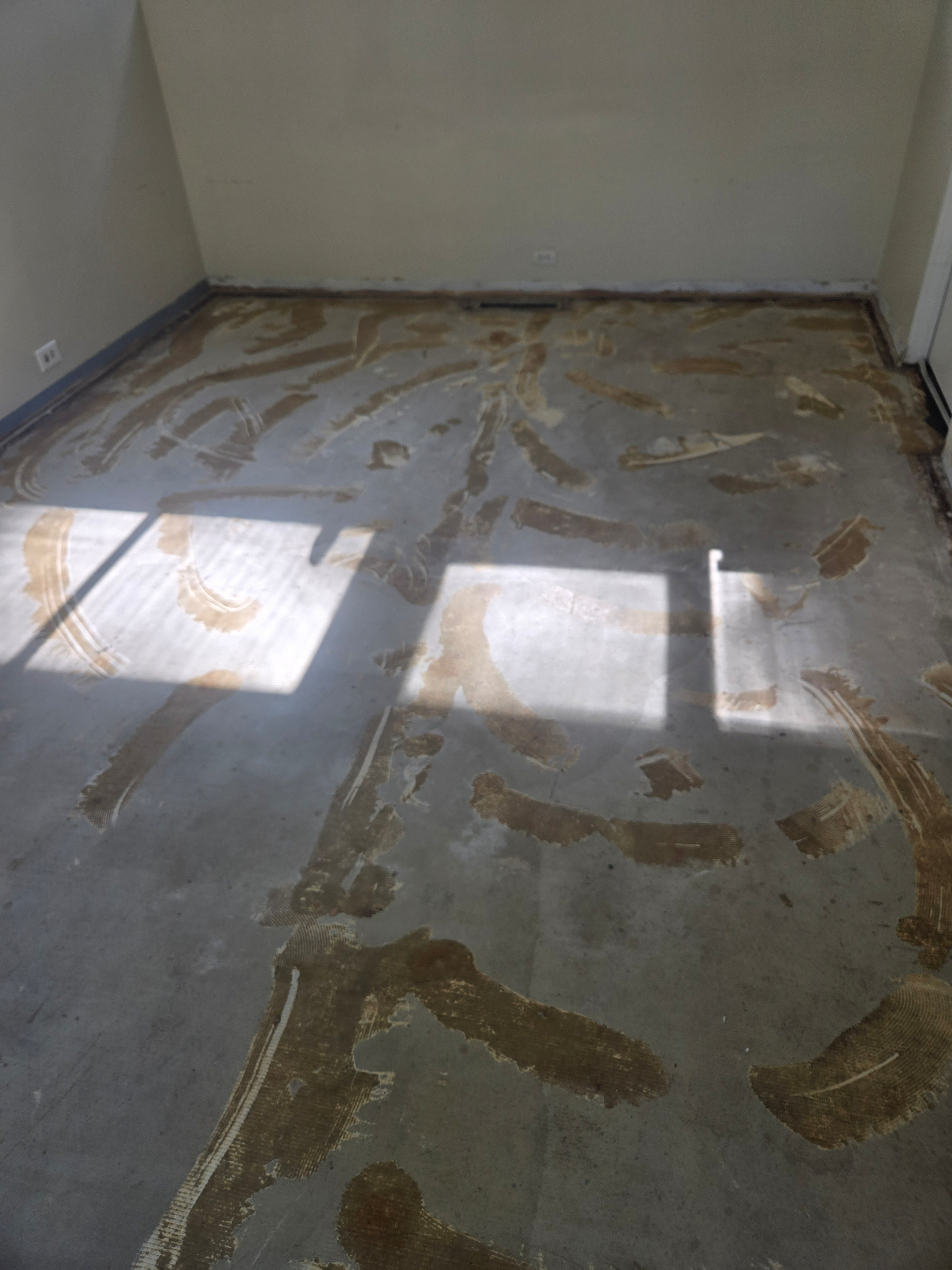 Cement floor after the flooring has been removed.